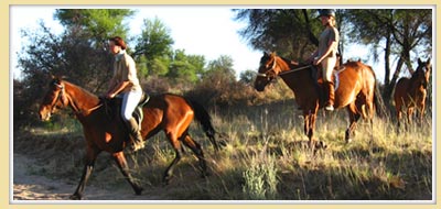 Exploring nature on horseback Exploring nature on horseback