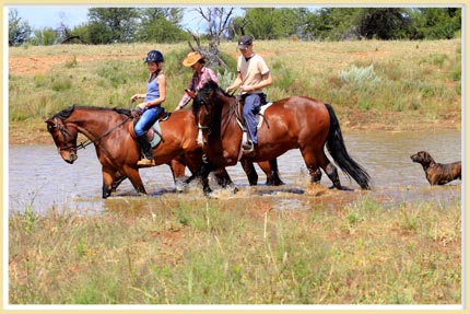 Playing in the Bismarck dam Playing in the Bismarck dam