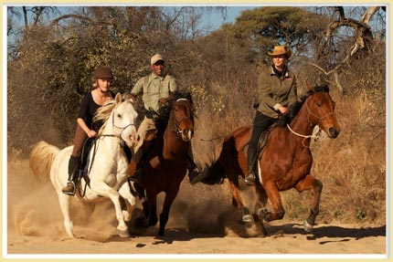 Gallop in the Olifantsriver Gallop in the Olifantsriver